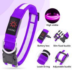 Vizpet collar LED alta visibilidad para paseos nocturnos seguros.