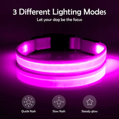 Collar Vizpet LED recargable por USB; evita cambios de batería.