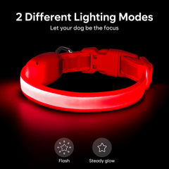Vizpet collar luz USB recargable rojo XS, carga rápida para salidas nocturnas.