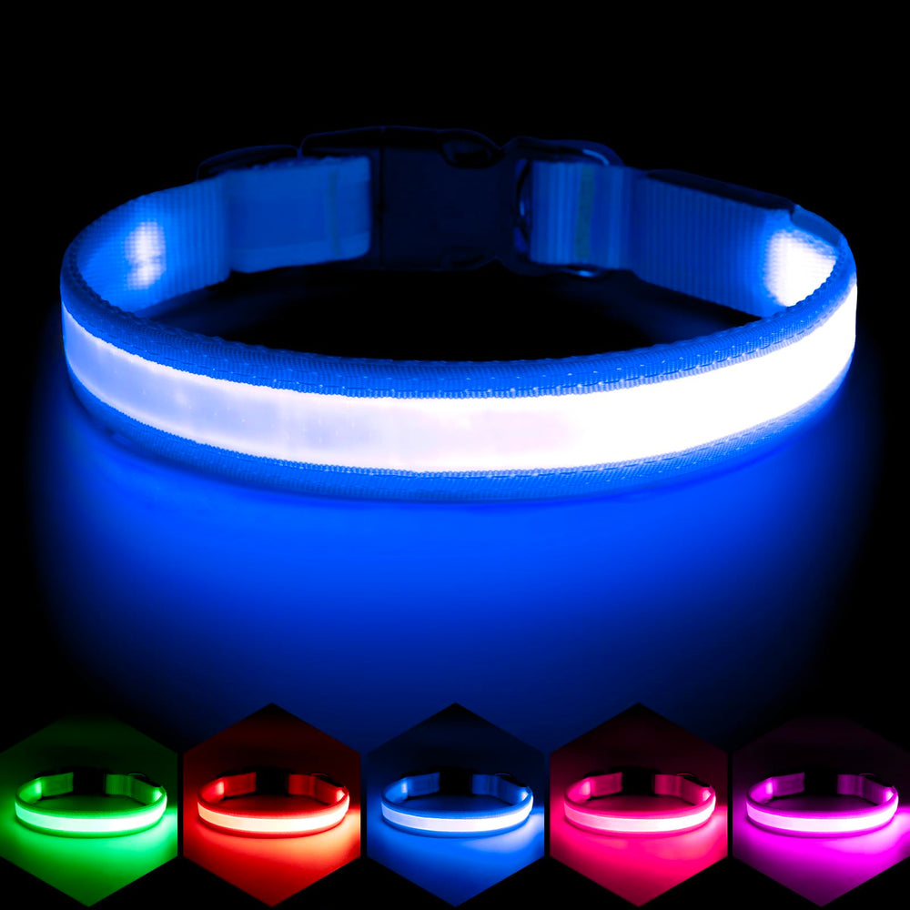 Vizpet collar LED para perros, luz azul para paseos nocturnos seguros.