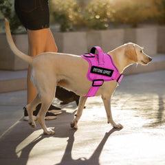 VOOPET arnés reflectivo para perros en la noche, mayor visibilidad.