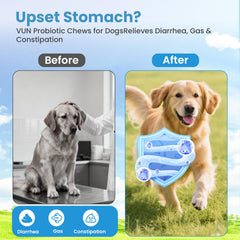 VUN Probiotics para perros, apoya la flora intestinal del perro.