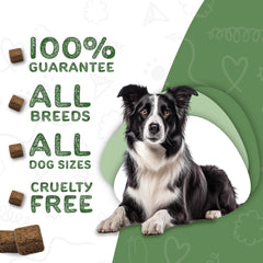 waggedy Calm Max: Ingredientes naturales que apoyan la calma durante visitas al veterinario