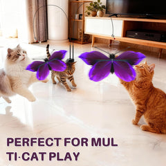 Walfront Juguete Mariposa, modo interactivo para diversión compartida con tu gato.