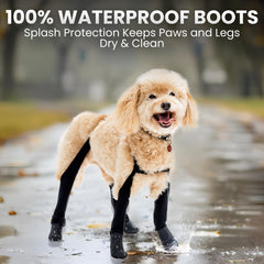 Walkee Paws cierres de velcro para ajuste seguro