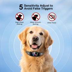 Wanzypup resistente-lluvia-ip67: collar preparado para clima y entrenamientos al aire libre.
