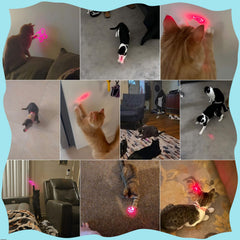 Juguete waputne para gatos recargable por USB, evita baterías desechables.