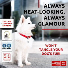 WAUDOG collar de cuero suave, cierre metálico, seguro para salidas al exterior