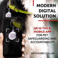 WAUDOG collar con hebilla metálica resistente para uso diario al aire libre.