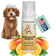 We Love Doodles champú sin enjuague Mango, botella lista para limpieza rápida entre baños