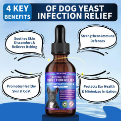 WEALLIN Mezcla de hierbas 8 para perro: aroma natural ofrece bienestar.