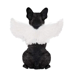 WeeH: ala de ángel blanca en disfraz para mascota, ideal para sesión de Halloween