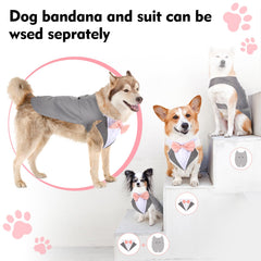 Weewooday bandana para perro, comodidad y estilo en eventos