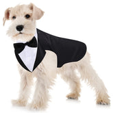 Weewooday traje formal para perro con lazo, ideal para eventos elegantes.