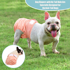 Pañales Wegreeco para celo canino, diseño práctico para el celo.
