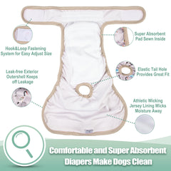 Pañales Wegreeco para perro: absorbencia alta para evitar fugas.