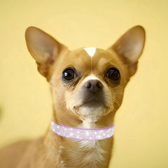 Collar Bling WeimoMonkey para mascota pequeña, brillo deslumbrante para paseos
