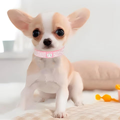 WeimoMonkey collar bling con ante suave, cómodo para uso diario.