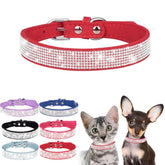 WeimoMonkey collar con brillantes, realza el estilo de tu mascota.