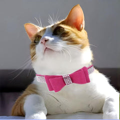 Collar WeimoMonkey con diamantes brillantes para mascota elegante