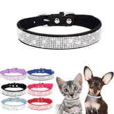 WeimoMonkey collar perro con brillo y cristales, perfecto para paseos diarios