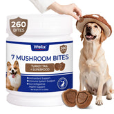 Wellix hongo cola de pavo para perros en empaque, snack práctico para la rutina diaria.