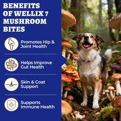 Textura suave de masticables Wellix, ideal para perros de todas las edades.