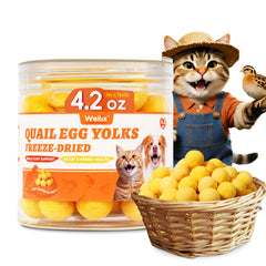Wellix huevos de perdiz secos: lata 4.2 oz, snack proteico para mascotas.