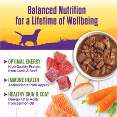 Wellness perro aceites de salmón para piel y pelaje saludables