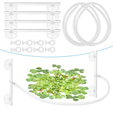 Wensdr cerca de plantas flotantes separando el área de cultivo en el acuario.