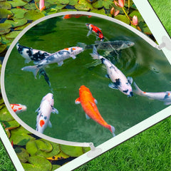 Wensdr valla flotante para acuario mantiene organizadas las plantas flotantes.