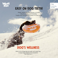 West Paw Zisc uso doble para comida o agua, práctico para paseos y viajes.