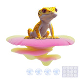 Westant hongo arcoiris en tanques, añade color y refugio seguro para reptiles.