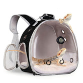 WEVONIGU Mochila para dragón barbudo con cabina transparente para observar al reptil.