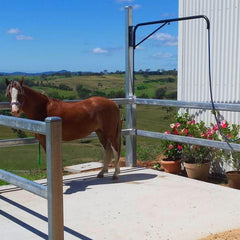 WGOHOSE: soporte mural para lavado de caballos mantiene la manguera ordenada