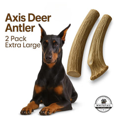 WhiteTail Naturals cuerno ciervo axis xl 2pack sin olor para uso interior.