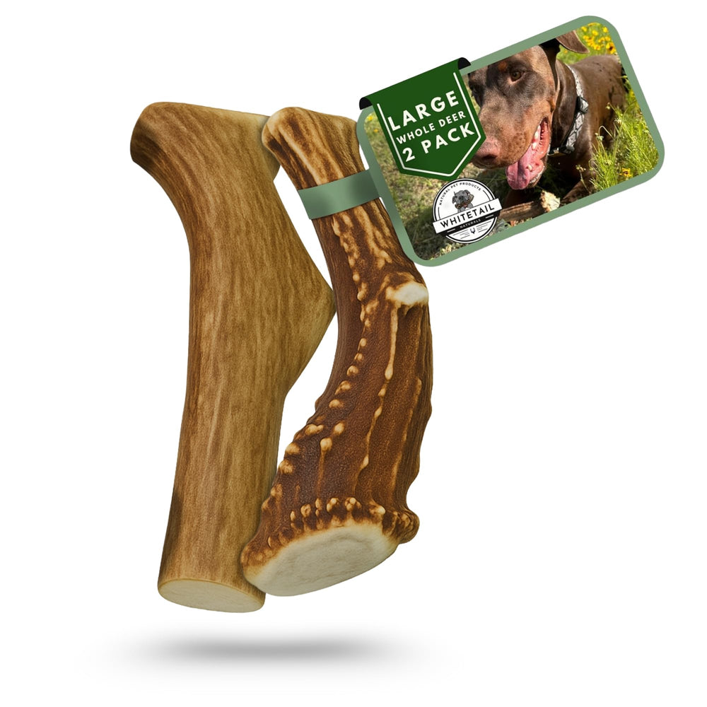 WhiteTail Naturals cuernos ciervo largos para perros grandes, duraderos y seguros.