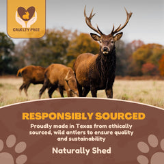 WhiteTail Naturals cuernos de ciervo naturales sin olor, ideal para uso en interiores.