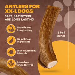 WhiteTail Naturals mordedor natural para dientes de ciervo XL.
