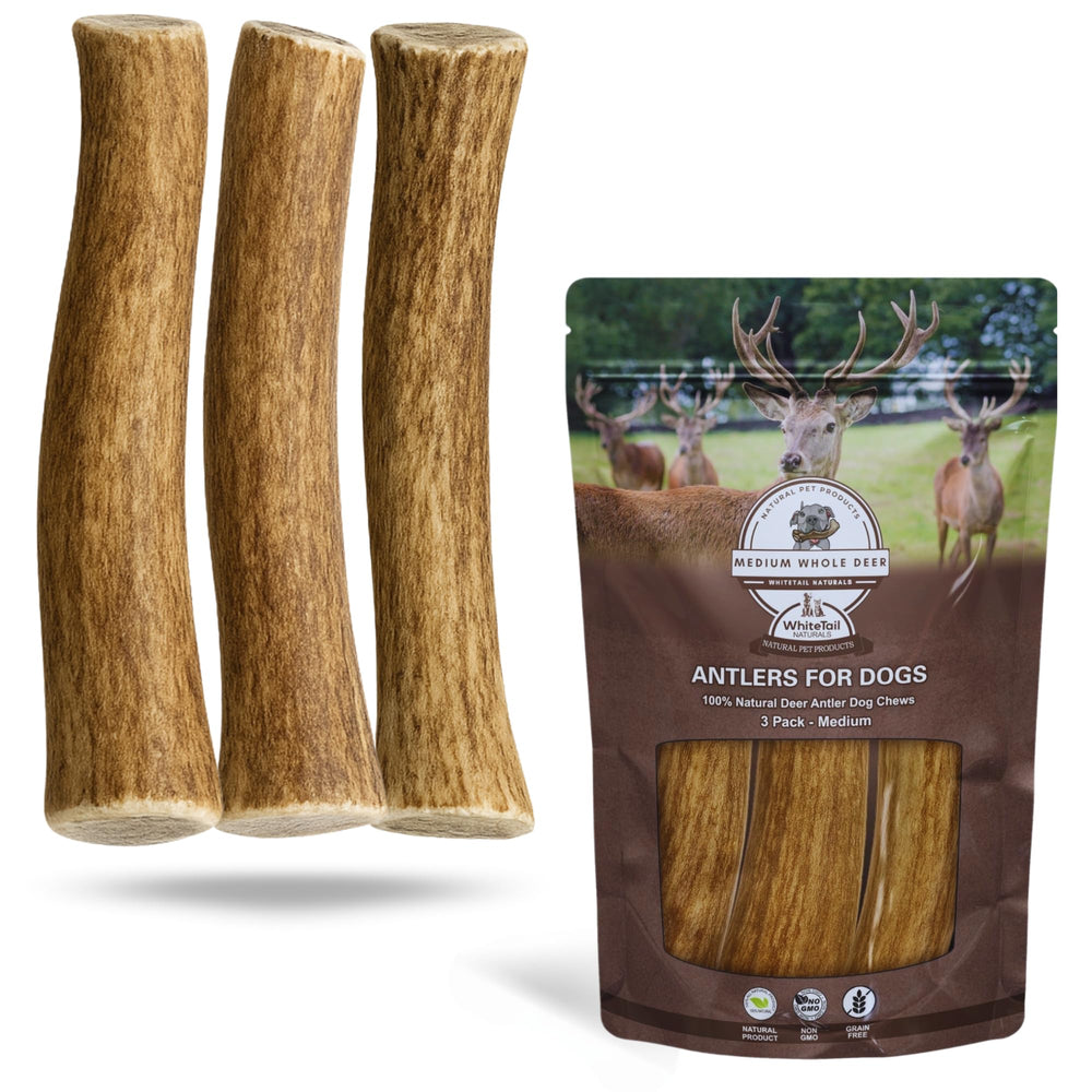 Whitetail Naturals Paquete 3 Astas de Ciervo Mediano para perros, masticación duradera.