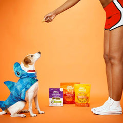 WholeHearted: tiras de pollo secas con sabor intenso para perros.