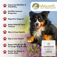 Wholistic Pet Organics, ayuda a mejorar la movilidad de perros grandes.