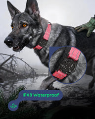 WhoseID collar AirTag IPX8, protección total contra lluvia y agua.