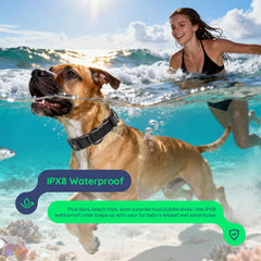 WhoseID collar de cuero premium, resistente para uso diario y paseos
