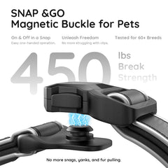 WhoseID collar reflectivo, seguridad nocturna con visibilidad 360° durante caminatas