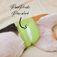 WICKEDPUP soporte reutilizable mantiene las almohadillas limpias.