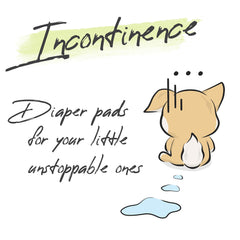 WICKEDPUP uso prolongado ideal para viajes y noches.