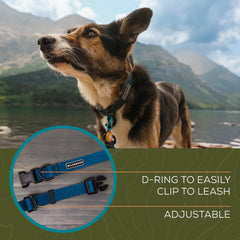 Collar Wilderdog con materiales durables para uso rudo