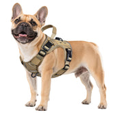 Arnés táctico WINGOIN para perros pequeños con camuflado exterior, ideal para caminatas seguras