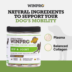 WINPRO colágeno balanceado para tejidos conectivos y movilidad.